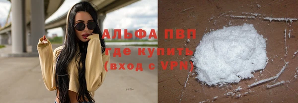 ПСИЛОЦИБИНОВЫЕ ГРИБЫ Аркадак