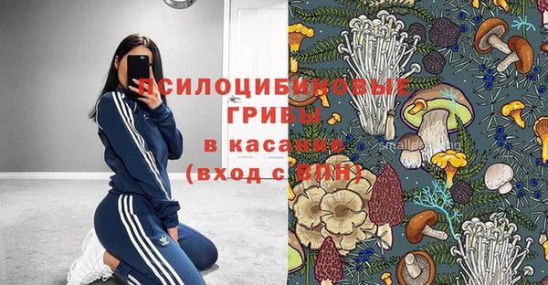 ПСИЛОЦИБИНОВЫЕ ГРИБЫ Аркадак