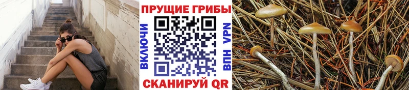 Псилоцибиновые грибы Magic Shrooms  Асбест 