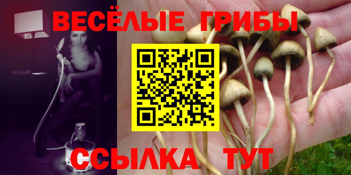 Галлюциногенные грибы Cubensis Асбест